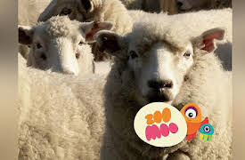 Animal All Stars: Nature's Noise Makers