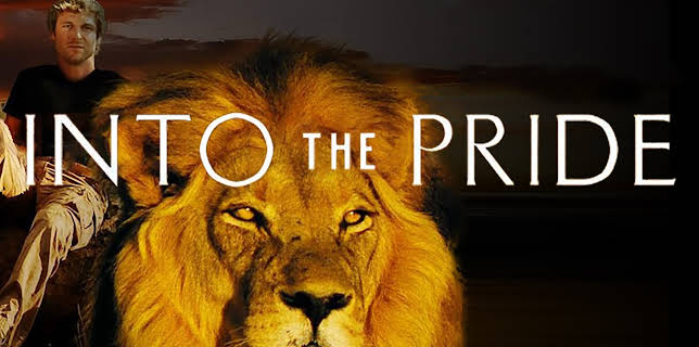 Into the Pride: Season 1