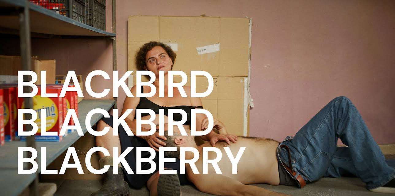 Blackbird Blackbird Blackberry (2023)