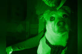 Ghost Files Germany: The double murder house