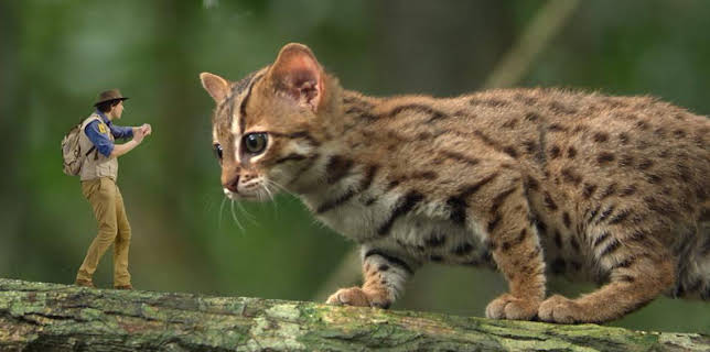 12:10 PM: Andy's Global Adventures (S1) | Cbeebies | 12/27 2025