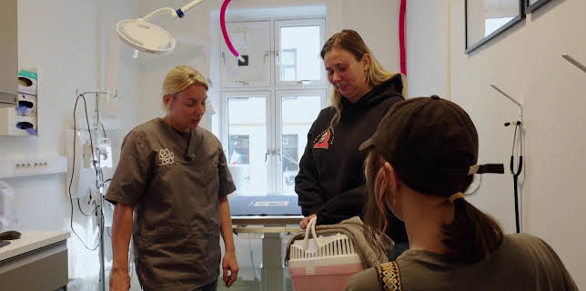 16:40: Dyreklinikken (S1 E4) (S1) | TV8 | 11/23 2025