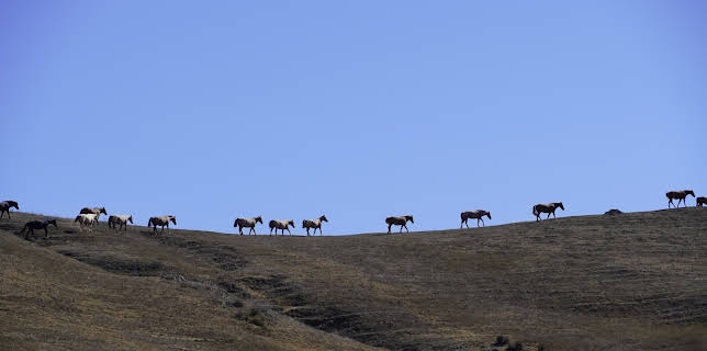 06:15: Nordamerikas versteckte Paradiese | 3SAT | 11/2 2025