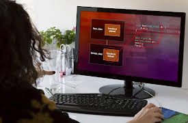 Introduction to C++: Programming Concepts and Applications: Object-Oriented Programming with Polymorphism