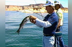 Fishin' with the Good Ol' Boys: Gary Yamamoto Lake Powell