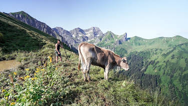 13:40: Almgeschichten aus Vorarlberg | 3SAT | 10/20 2026