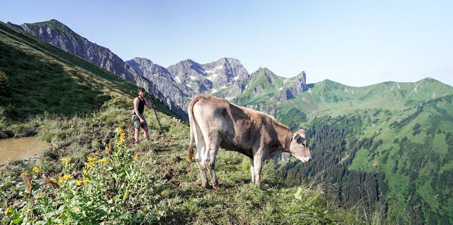 10:00: Almgeschichten aus Vorarlberg | 3SAT | 3/14 2026
