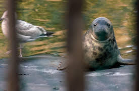 EcoEye with Duncan Stuart: Cost of Waste