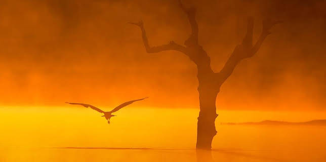 18:10: Grandes Documentales Las Aves Del Frio | LA 2 | 12/8 2025