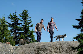 Dog Dudes: The ManHating Pitbull