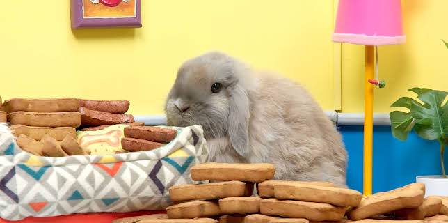 17:20: Rosin og Bolle: Valpekjekspiknik | NRK Super | 12/14 2025