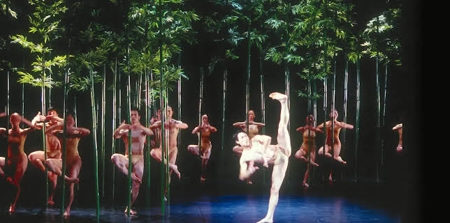 Bamboo Dream (2002)