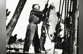 America Declassified Season 1: Whitey Bulger Capture and More