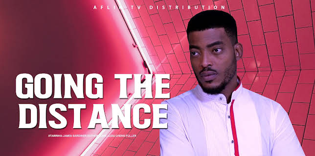 Going the distance (2010)