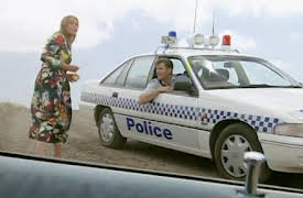 Blue Heelers: Diary Entry