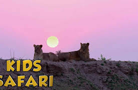 Kids Safari: Mesmerizing Elephants