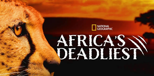Africa's Deadliest