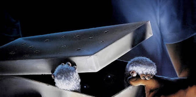 12:45 AM: Gremlins (IMDb 7.3) | Sky Hits | 11/3 2025