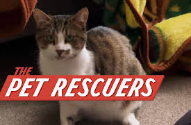 The Pet Rescuers: Rescue and Recovery