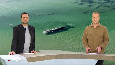 10:00: Schleswig-Holstein Magazin | NDR Fernsehen | 3/26 2026