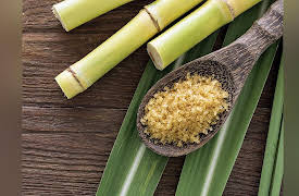 Food, Science, and the Human Body: How Sugar and Salt Shaped World History