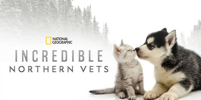 Incredible Northern Vets