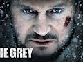 The Grey