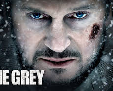 The Grey