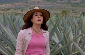 Nadie como tú season-1: Nadie Como Tú Capítulo 5