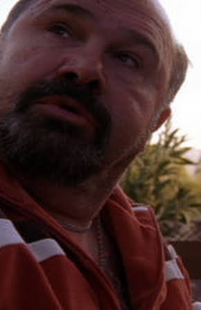 Robert Costanzo as 
