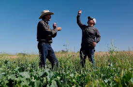 Ranch America: Season 1: Stemple Creek Ranch