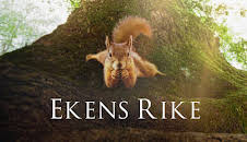 Dox: Ekens rike