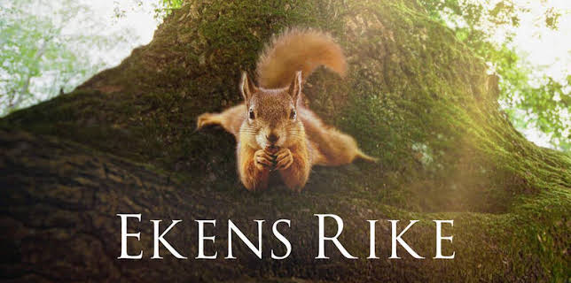 21:45: Dox: Ekens rike | SVT24 | 1/3 2026