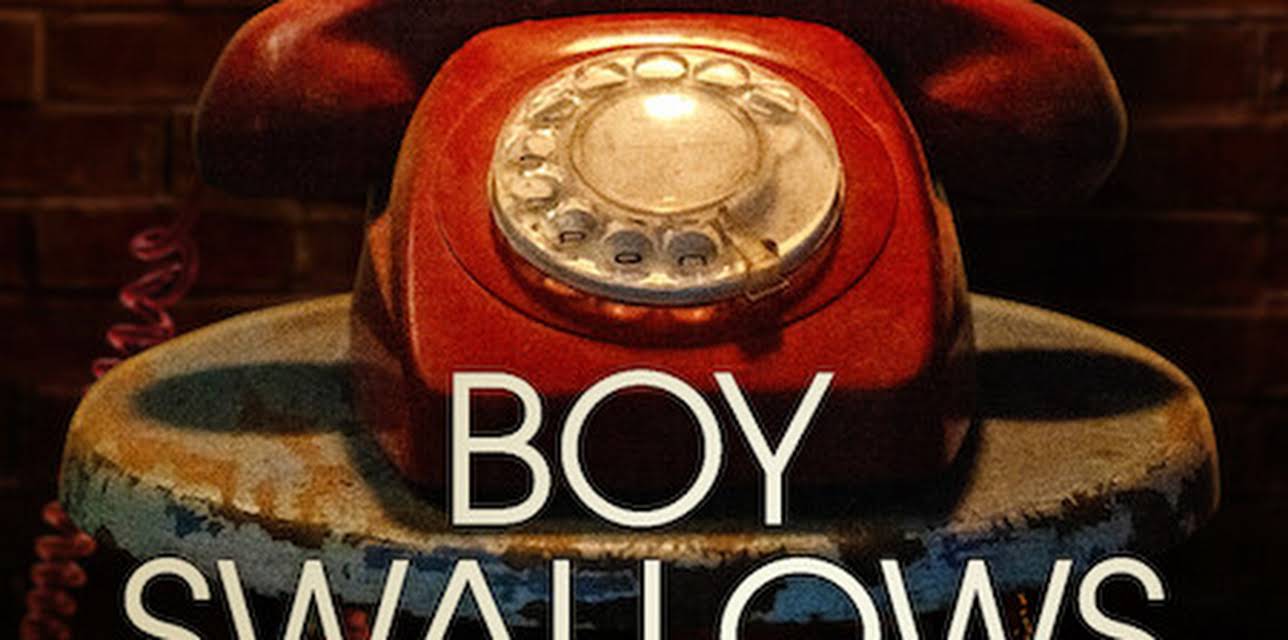 Boy Swallows Universe