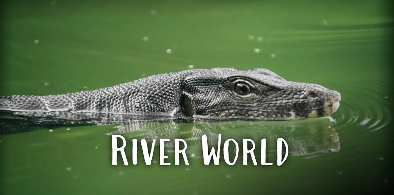 Wild City - River World (2020)