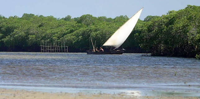 13:13: Stadt Land Kunst | Arte | 11/18 2025