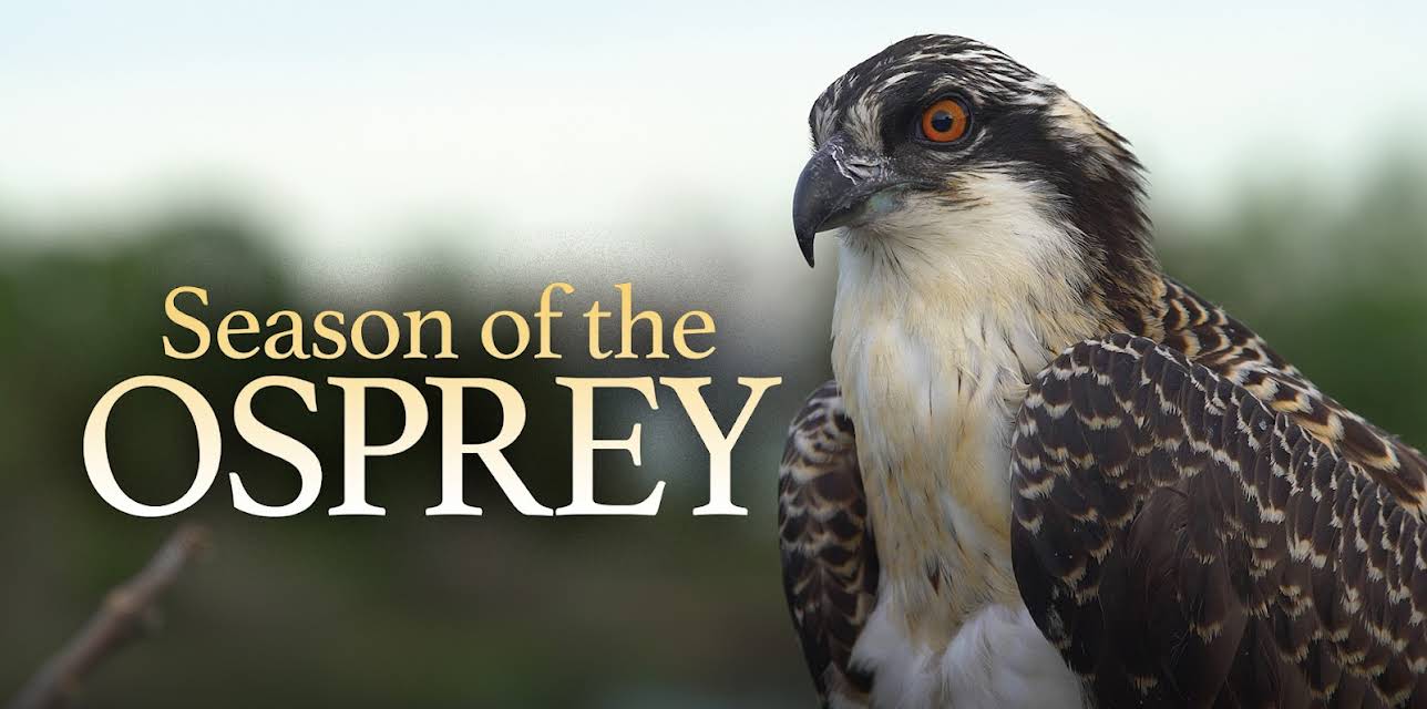 Season of the Osprey (1982)