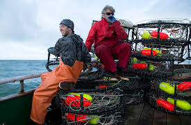 Deadliest Catch: Dungeon Cove:  Cursed Bay