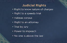 The Medieval Legacy: The Medieval Rise of the Rule of Law