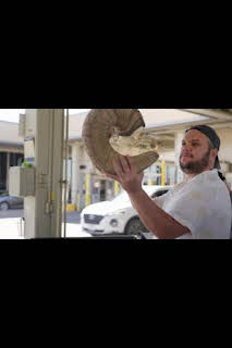 22:50: Control de aeropuertos: USA: Brillante, blanca y letal | National Geographic | 4/2 2026