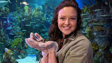 11:30 AM: Teeny Tiny Creatures (S1) | Cbeebies | 6/12 2026