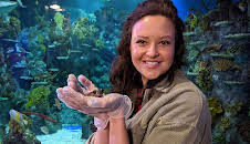 Teeny Tiny Creatures