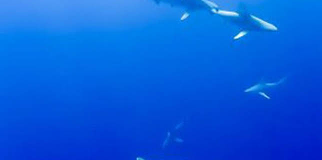 15:10: El campo es nuestro: Episodio 1104 | Aragón TV | 1/9 2026