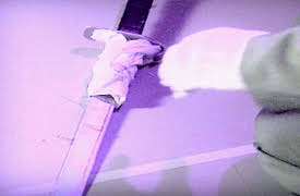 Incredible Tales: Bukit Timah Campus