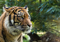 Traumziele Südostasiens (1/4)