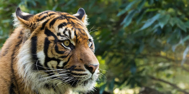 11:20: Traumziele Südostasiens (1/4) | 3SAT | 1/11 2026