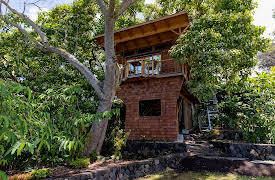 Beach Cottage Chronicles, Season 1: Kona Treehouse