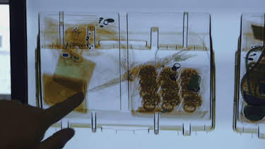 1:00 AM: Border Control: Europe (S1) | Discovery Channel | 4/2 2026