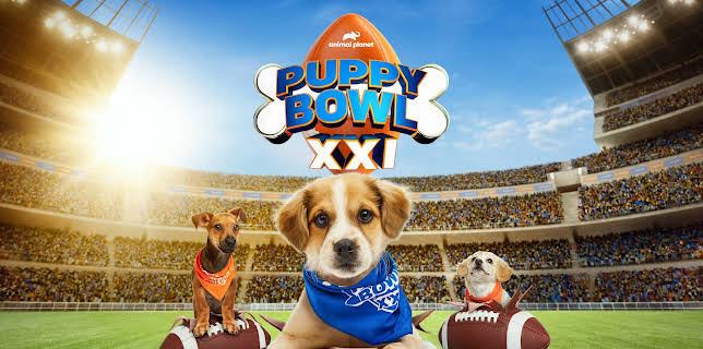Puppy Bowl, Season 21