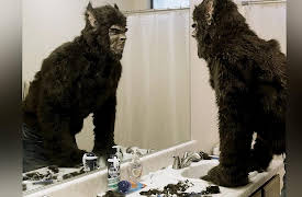 The Back Pages: The Back Pages: Hairwolf: A Were-Removal Story